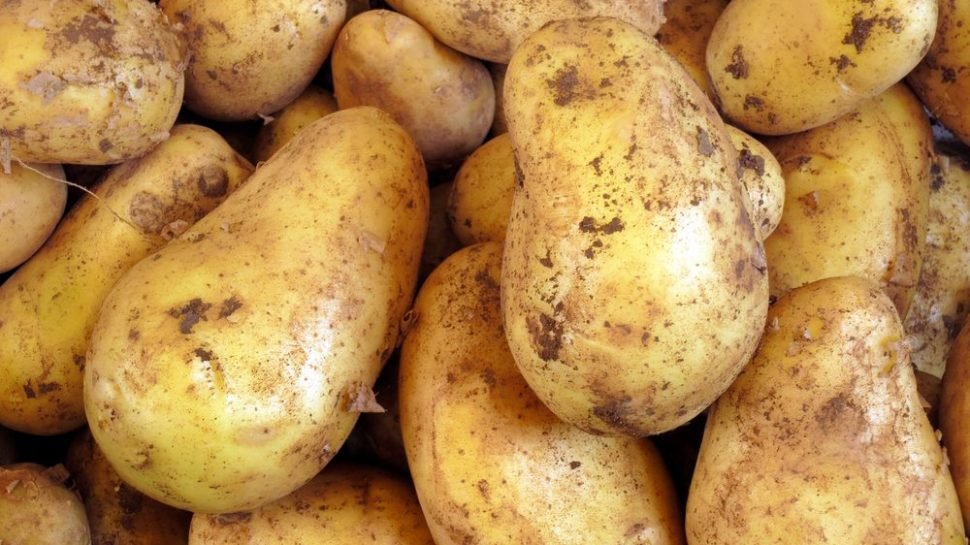 3 DAYS SEMINAR WITH CAGRIB